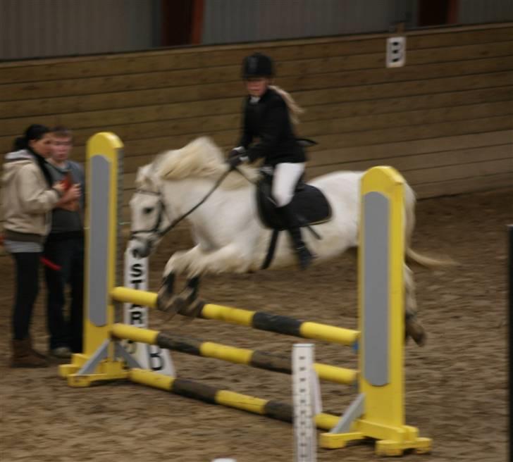 Anden særlig race MOULTONS PATRICK  - så flyver vi :P juhuu vi vandt og jeg føre klubmesterskab det kan godt være jeg ikk er så køn men hoppe kan jeg fand.. foto jacqueline billede 8