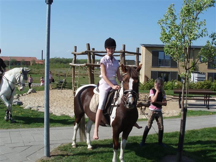 Pinto Sandy  ¤SOLGT¤ - er vi ikke hotte <3 billede 1