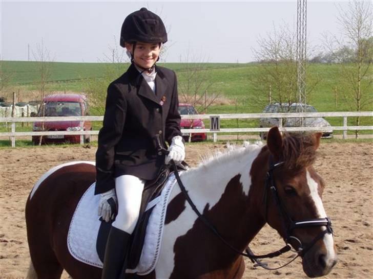 Pinto Sandy  ¤SOLGT¤ - Mig og min dejlige pony til stævne <3 billede 2