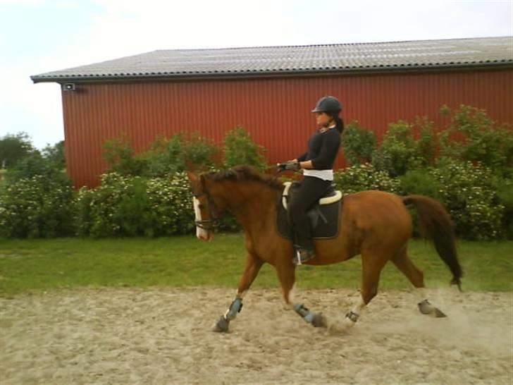 Anden særlig race Paw den dejlige...<3 billede 18