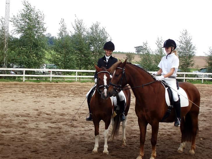 Pinto Sandy  ¤SOLGT¤ - Mig og Min bedste veninde Helene på Sultan, er vi ikk søde? billede 8