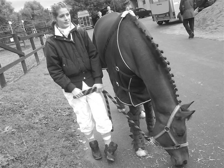 Fuldblod (XX) Honda - RIP. billede 12