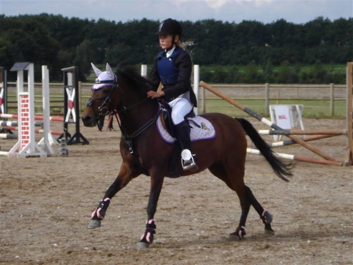 Hollandsk Sportspony Bakkegaardens Coco Casino <3. - her ser i så mig og Tia så til stævne :] <3 .. Klubmesterskaberne 2afd. HDR 2008 LB .. [Foto: Amalie Bense Petersen/Malle ;P] billede 16