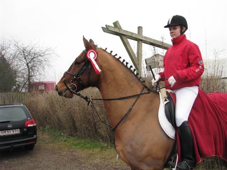 Dansk Varmblod Sir Lancelot (SOLGT) - Min stolte prins & mig <3 billede 17