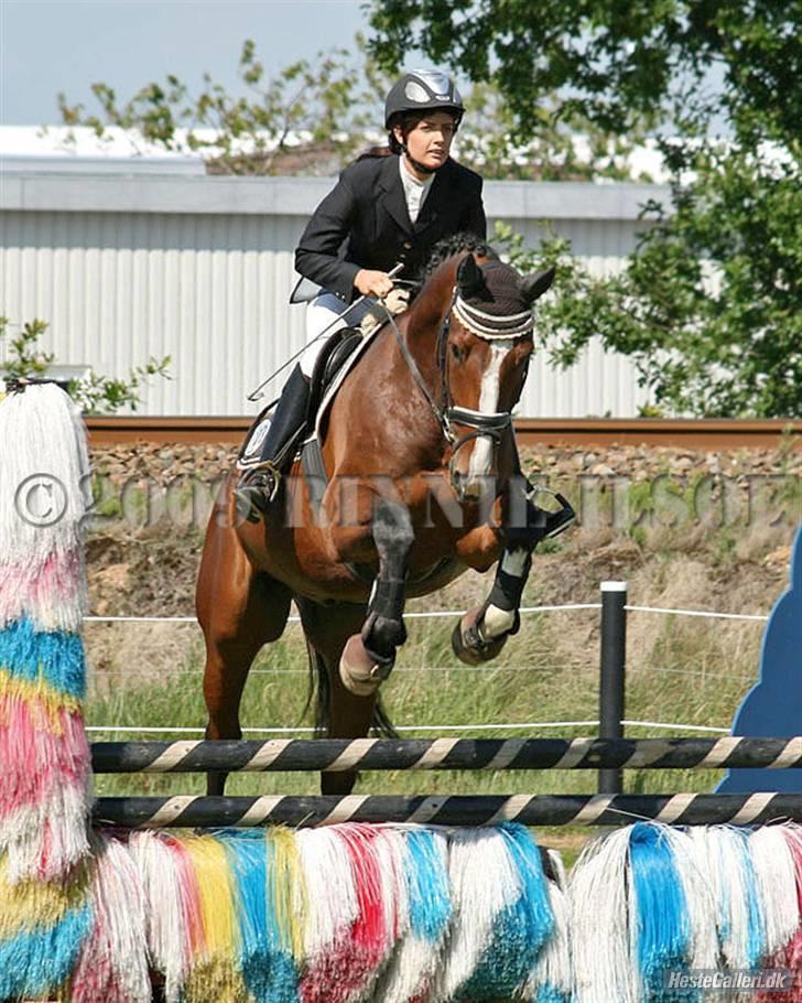 Dansk Varmblod Kalumhus' Kazio - Nadia og Kazio LD i Ribe 09  billede 18