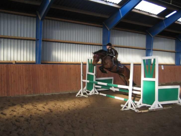 Hollandsk Sportspony .•°Pheobee- elsker diq°•. - ret godt spring..  billede 2