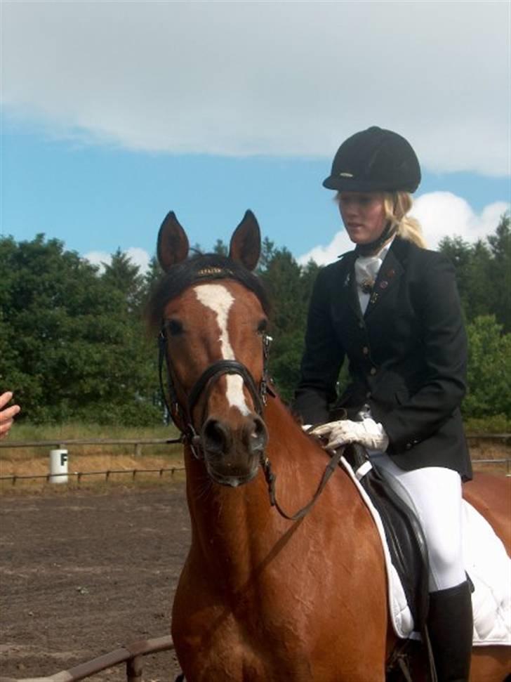 DSP Malou SOLGT - Malou min smukke pony<3 billede 12