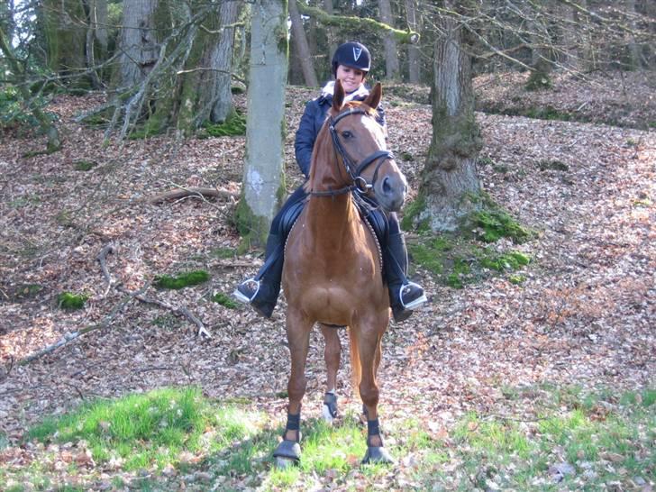 Fuldblod (XX) MINI DANCER *RIP* - Min lille yndlinqs pony :b billede 1