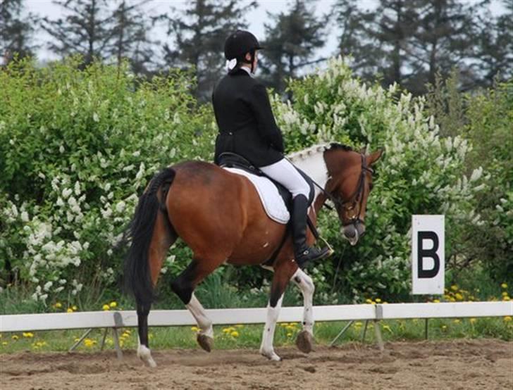 Pinto casanova<3 stjernen<3 - nyt trænings billede den er bare perfekt<3 billede 17