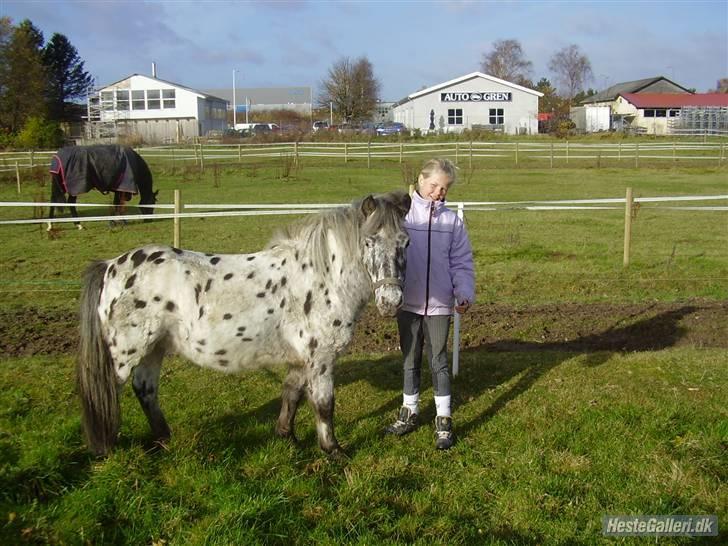 Anden særlig race Asterix gammel part. - miig og bassen =)  foto. Rikke billede 16