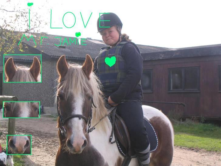 Pinto Mr Jamie (rider ik mere) - jeg elsker min søde pony  billede 7