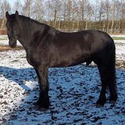 Frieser Wiktor von Ingermarien.