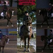 New Forest Storgårdens Ibrahim