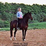 Anden særlig race noelle