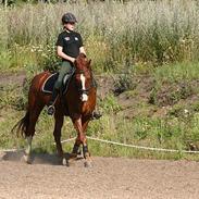 Frederiksborg Major Skyttegård