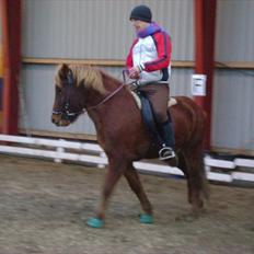 Islænder Mosa (Solgt)