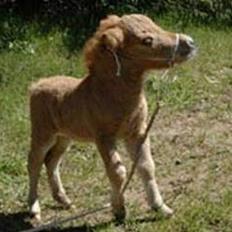 Dansk Miniature Vandstedlunds Antica