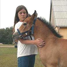 Connemara BREDEMADGÅRDS CILLA