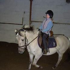 Anden særlig race Shiva