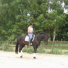 Anden særlig race Miss Kicki