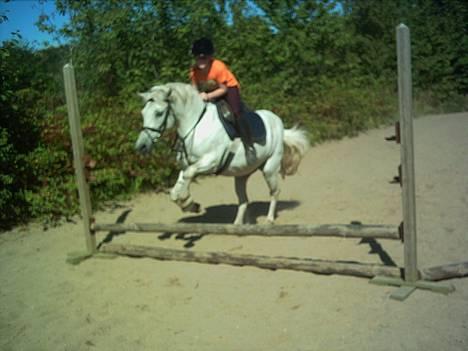 Anden særlig race Lotte *Død* - så skal der springes igen. se hvor dygtig vi er billede 3