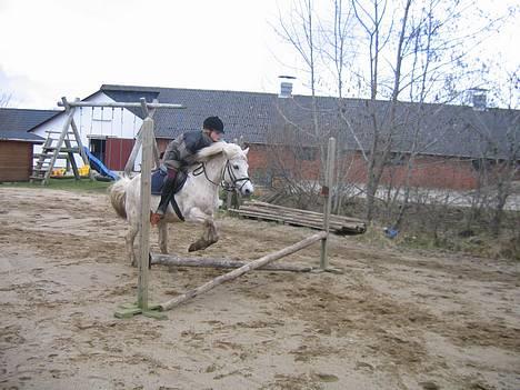 Anden særlig race Lotte *Død* - mig der springer på lotte ikke flot billede 4