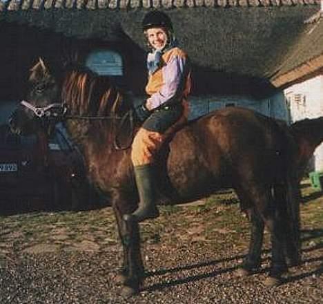 Islænder Hrafntinna fra Hejelte - Rappen og Anne-Mette billede 4