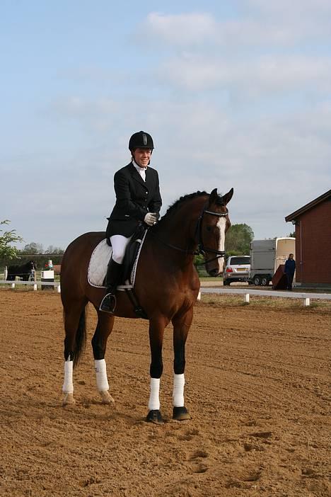 Dansk Varmblod Casper *byttet væk* - Parade dressurstævne tjr c stævne maj 07 billede 6