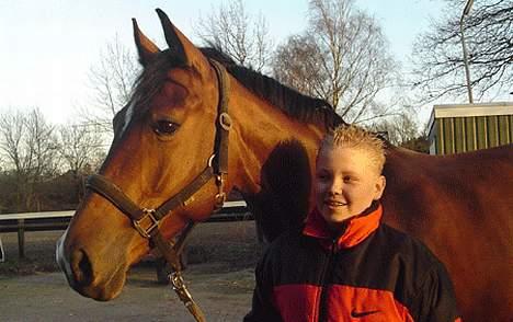 Tysk Varmblod / Rheinländer AK's Alinea - Det er billede er fra 2001 (jeg lgner slet ikke mig selv mere! Hehe :) billede 8