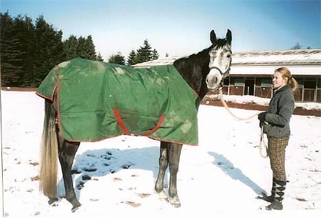 Sportsaraber (A) Snehvide - Hej her er jeg. Snehvide i sneen foråret 2005. billede 8