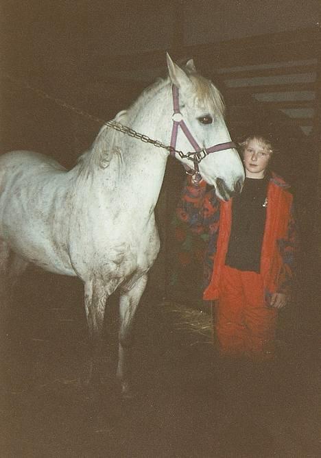 Shagya Araber (SH) Lady (Love of my life!) - Været ude og fræse i mudderet. Ca 1995 billede 7