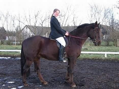 Anden særlig race Obelix - Obelix og jeg billede 1