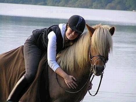 Islænder Rauður fra Kransmose - Røde efteråret ´05 billede 4