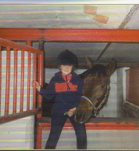 Anden særlig race Obelix - Obelix og lillesøster... "Har du ikk noget lækkert?" billede 4