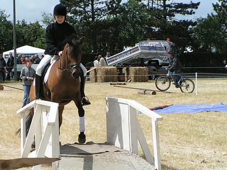 Anden særlig race jasmijn  - minse og mig der rider og en western bro, .. vi er til dyreskue.. vi fik en anden plads- flot billede 1