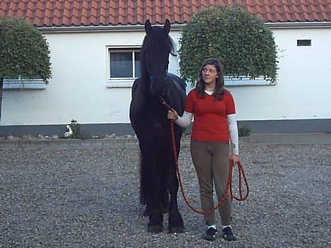 Frieser Jetse billede 8