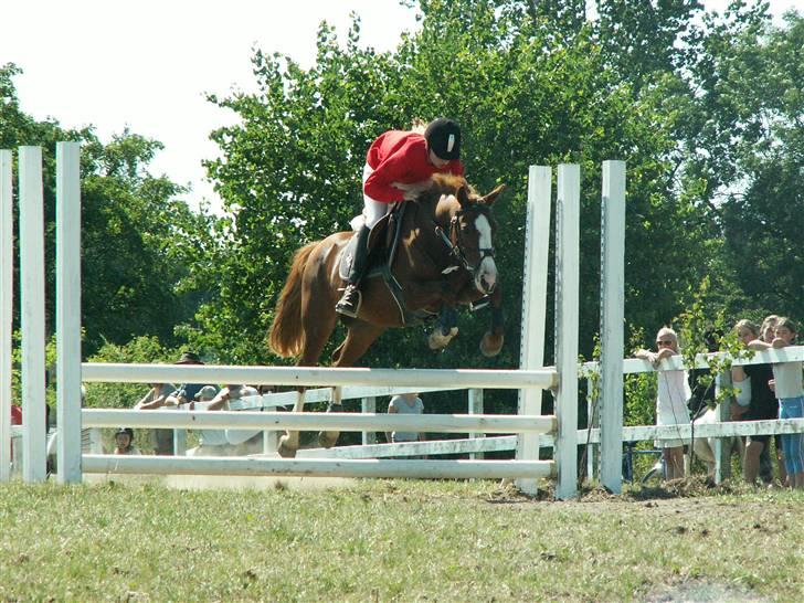 Anden særlig race Zoffi(Solgt) - fynsmesterskab 2006 taget er julie kronborg billede 1