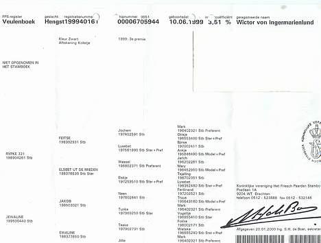 Frieser Wiktor von Ingermarien. - Wiktors stamtavle billede 7