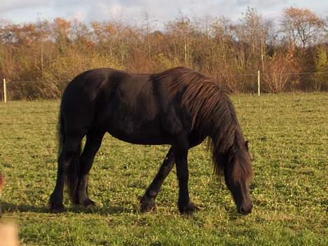 Frieser Jewaline - Jewaline sidst i Oktober 2004 billede 7