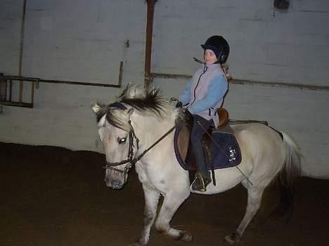 Anden særlig race Shiva - Rider lii´ lidt dressur... :O)) billede 3