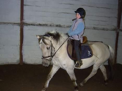 Anden særlig race Shiva - Dressur igen igen....  :O)) billede 8