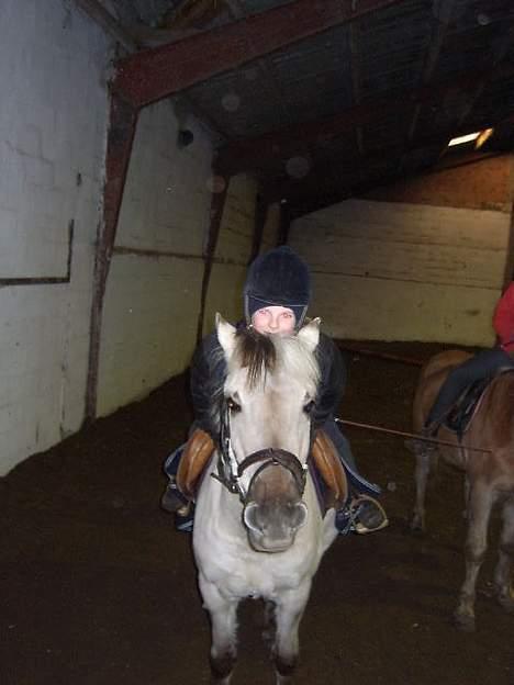 Anden særlig race Shiva - Halløjsa..... billede 9