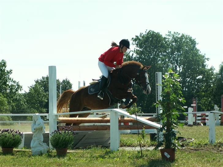 Anden særlig race Zoffi(Solgt) - til fynsmester  nr. 2.         Taget af Julie Kronborg og ikke kristina outzen      2006 billede 2