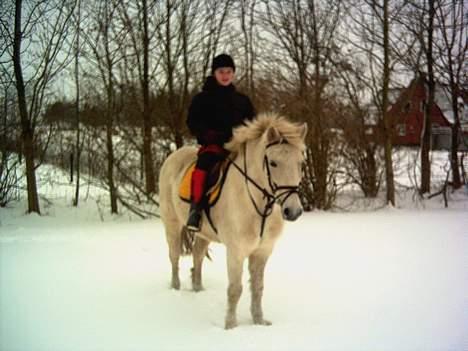 Anden særlig race Lotte *Død* - UUUHHH det er koldt når man står stille billede 9
