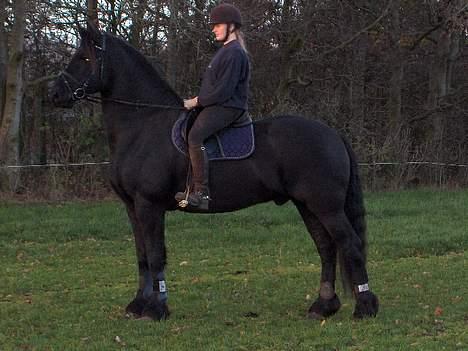 Frieser Wiktor von Ingermarien. - Wiktor har fået øje på noget billede 6
