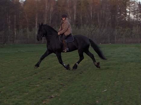 Frieser Wiktor von Ingermarien. - Wiktor i trav billede 8