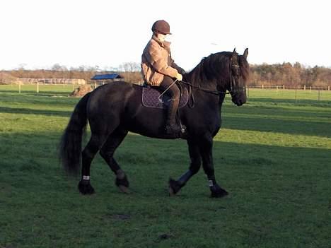 Frieser Wiktor von Ingermarien. - Wiktor i skridt billede 9