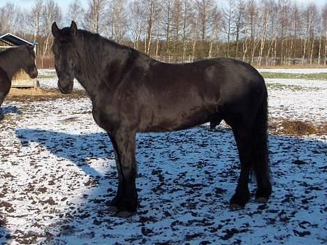 Frieser Wiktor von Ingermarien. billede 2