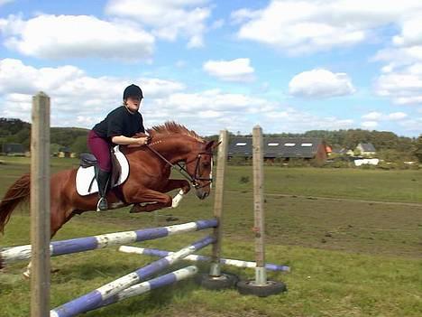 Traver Simon Langkjær - super sejt.. Fra 2001 på vores den anden efterskole i marriger (skrødstrup) hedder den.. billede 2