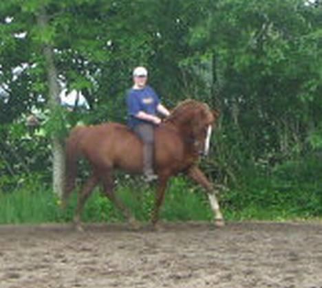 Traver Simon Langkjær - simon og jeg den 4 juni 2005 vores bedste billede i dressur.. bare ærligt at det blev så dårlig kvalitet.. billede 3